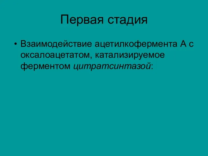 Первая стадия Взаимодействие ацетилкофермента А с оксалоацетатом, катализируемое ферментом цитратсинтазой: