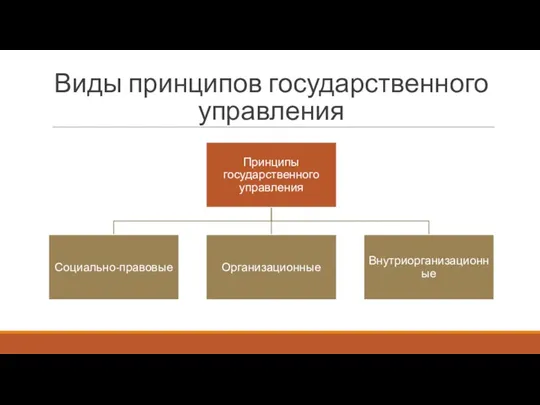 Виды принципов государственного управления