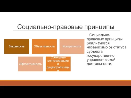 Социально-правовые принципы Социально-правовые принципы реализуются независимо от статуса субъекта государственно-управленческой деятельности.