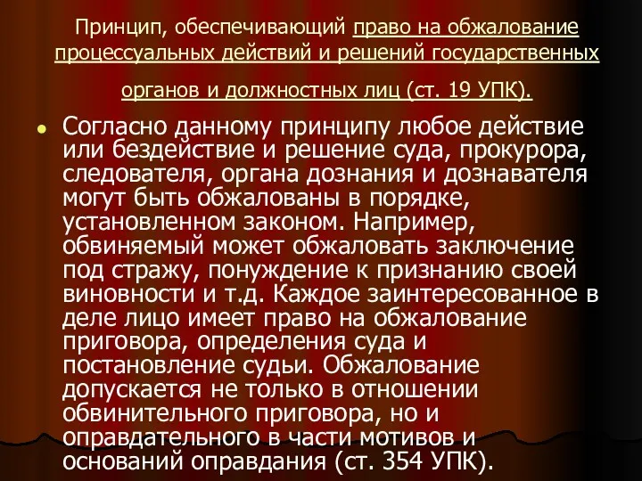 Принцип, обеспечивающий право на обжалование процессуальных действий и решений государственных