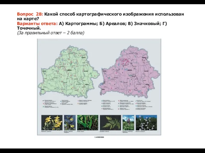 Вопрос 28: Какой способ картографического изображения использован на карте? Варианты