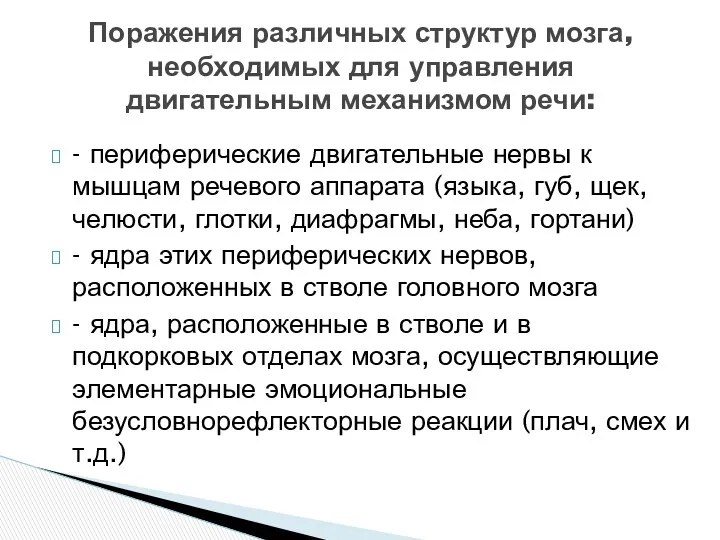 - периферические двигательные нервы к мышцам речевого аппарата (языка, губ,