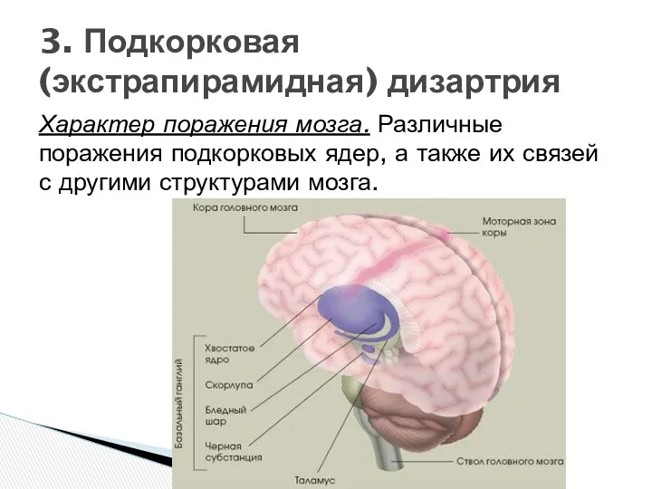 Характер поражения мозга. Различные поражения подкорковых ядер, а также их