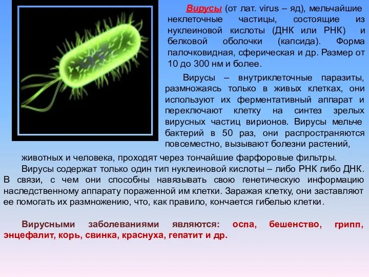 Вирусы (от лат. virus – яд), мельчайшие неклеточные частицы, состоящие