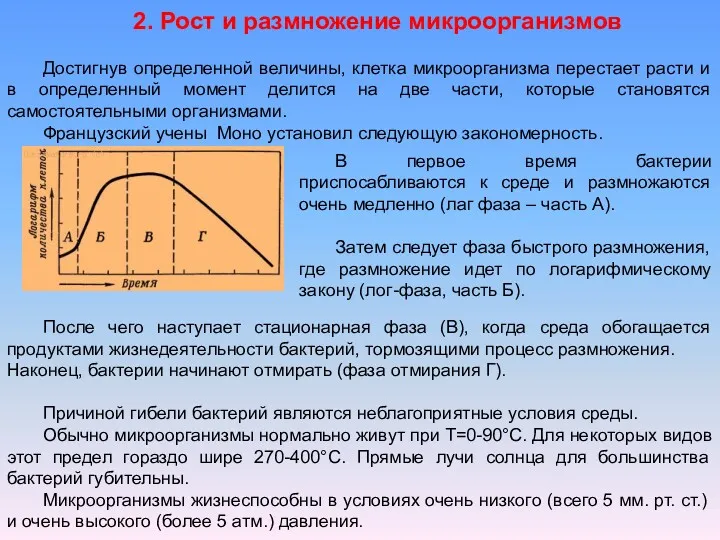 2. Рост и размножение микроорганизмов Достигнув определенной величины, клетка микроорганизма