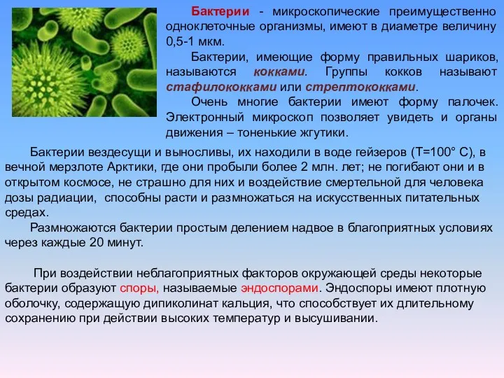 Бактерии - микроскопические преимущественно одноклеточные организмы, имеют в диаметре величину