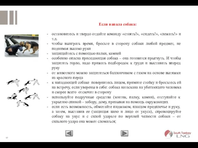 Если напала собака: остановитесь и твердо отдайте команду «стоять!», «сидеть!»,