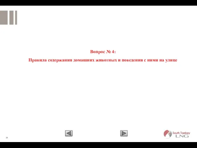 Вопрос № 4: Правила содержания домашних животных и поведения с ними на улице