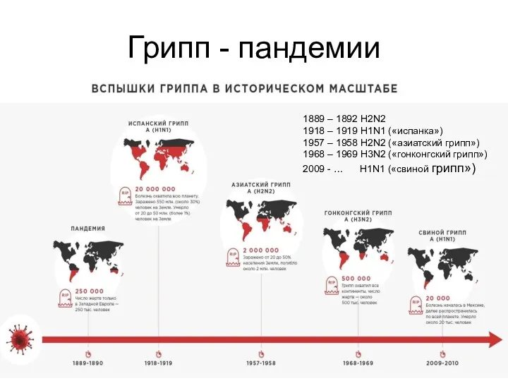 Грипп - пандемии 1889 – 1892 Н2N2 1918 – 1919