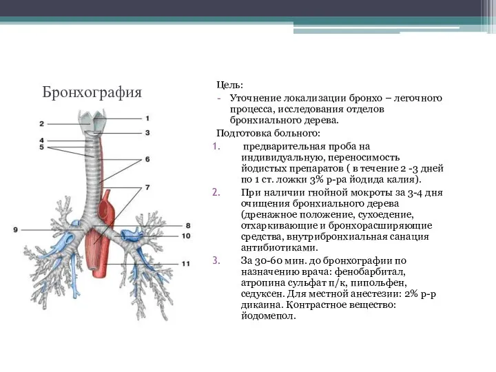 Бронхография Цель: Уточнение локализации бронхо – легочного процесса, исследования отделов