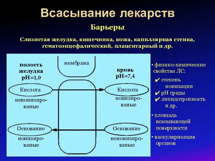 Всасывание лекарств Барьеры Слизистая желудка, кишечника, кожа, капиллярная стенка, гематоэнцефалический, плацентарный и др.