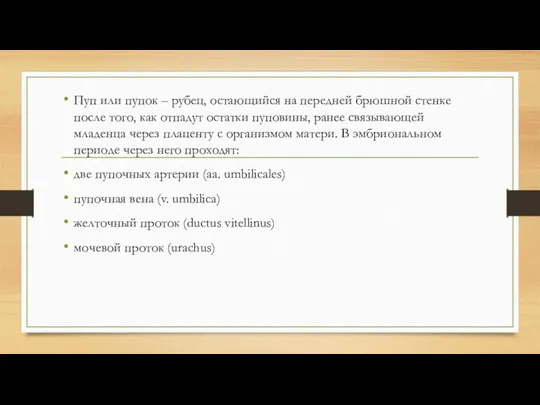 Пуп или пупок – рубец, остающийся на передней брюшной стенке