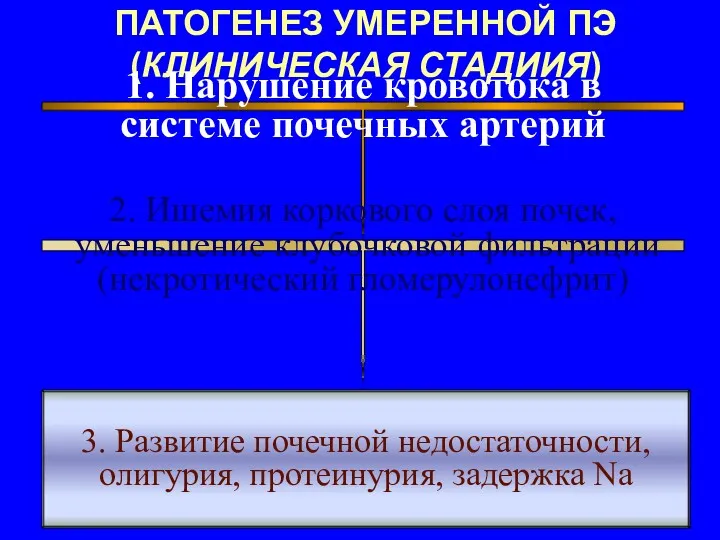 ПАТОГЕНЕЗ УМЕРЕННОЙ ПЭ (КЛИНИЧЕСКАЯ СТАДИИЯ) 1. Нарушение кровотока в системе