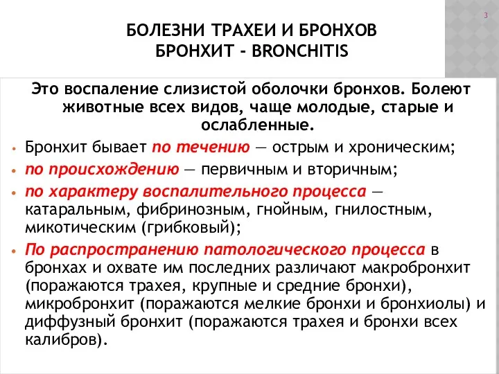 БОЛЕЗНИ ТРАХЕИ И БРОНХОВ БРОНХИТ - BRONCHITIS Это воспаление слизистой