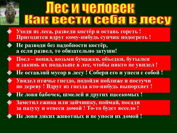 Лес и человек Как вести себя в лесу Уходя из