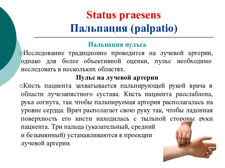 Status praesens Пальпация (palpatio) Пальпация пульса Исследование традиционно проводится на лучевой артерии, однако