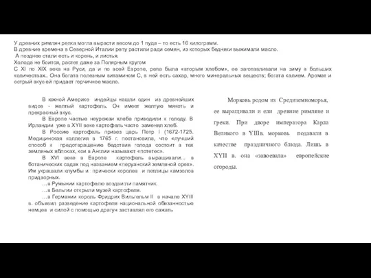 У древних римлян репка могла вырасти весом до 1 пуда