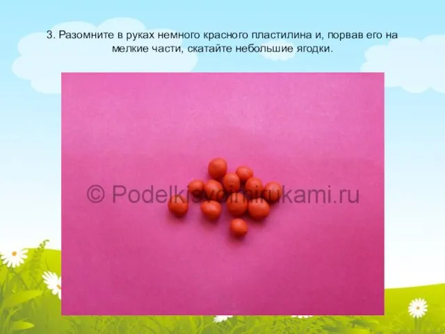 3. Разомните в руках немного красного пластилина и, порвав его на мелкие части, скатайте небольшие ягодки.