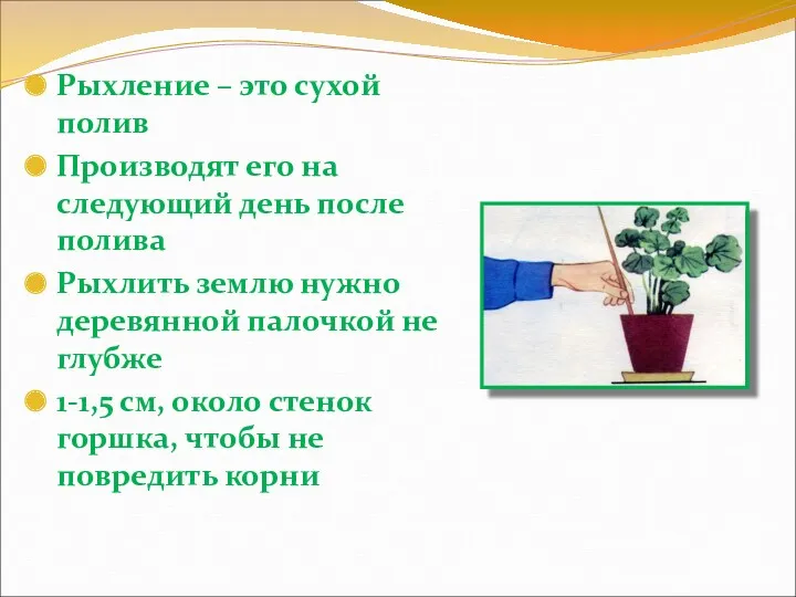 Рыхление – это сухой полив Производят его на следующий день