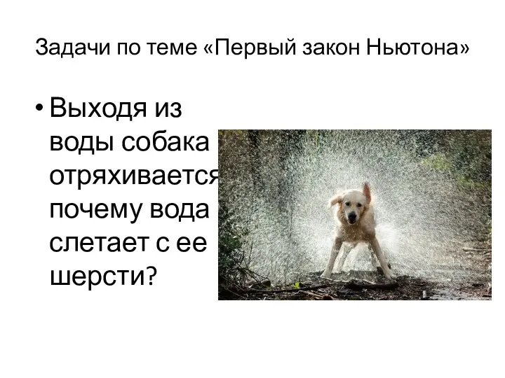 Задачи по теме «Первый закон Ньютона» Выходя из воды собака