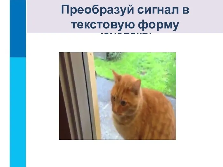 Догадайся, что означает представленный сигнал для человека? Преобразуй сигнал в текстовую форму