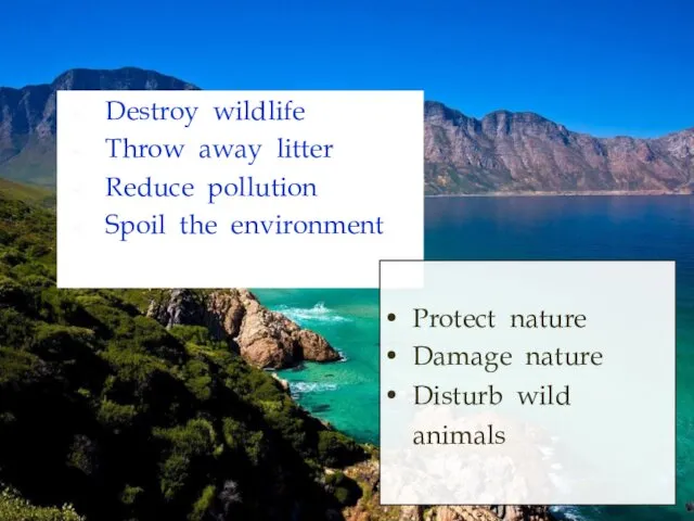 Destroy wildlife Throw away litter Reduce pollution Spoil the environment