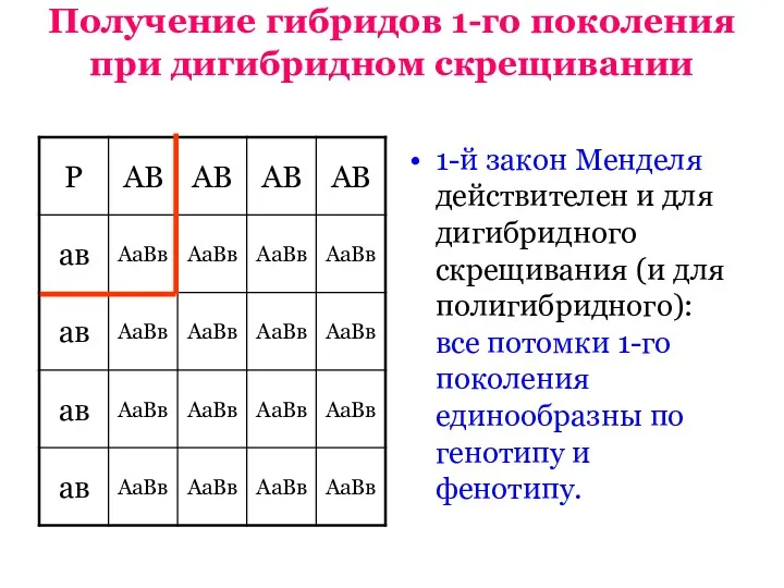 Получение гибридов 1-го поколения при дигибридном скрещивании 1-й закон Менделя