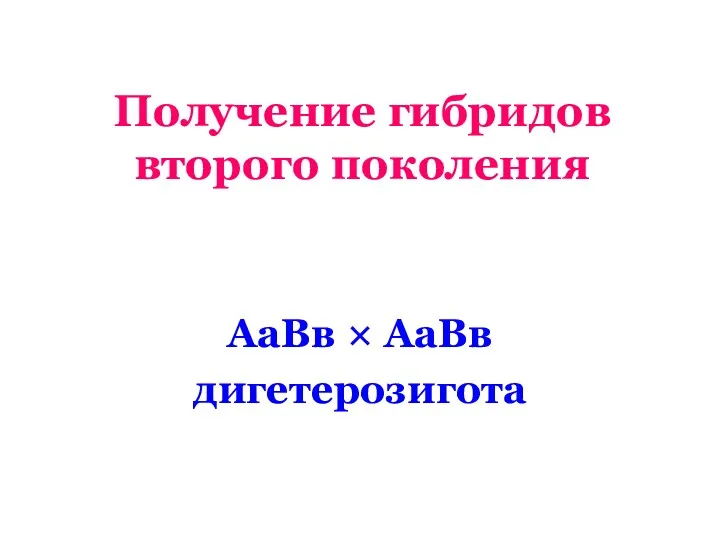 Получение гибридов второго поколения АаВв × АаВв дигетерозигота