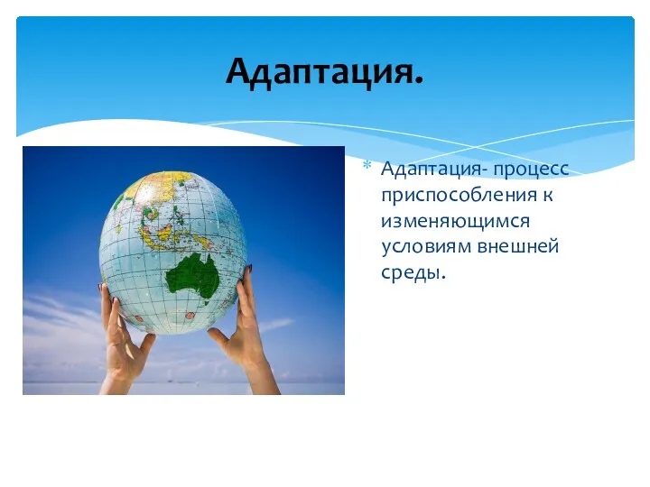 Адаптация. Адаптация- процесс приспособления к изменяющимся условиям внешней среды.