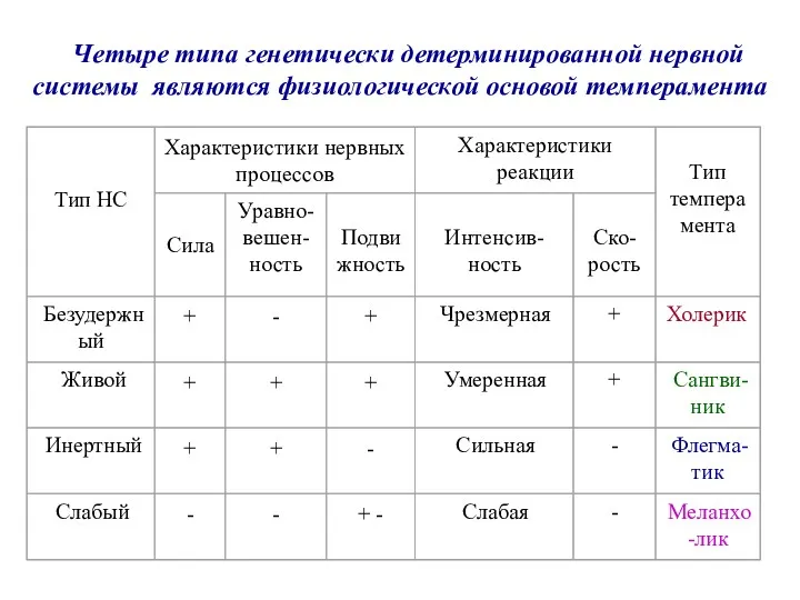 Четыре типа генетически детерминированной нервной системы являются физиологической основой темперамента