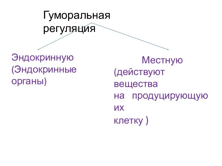 Гуморальная регуляция Эндокринную (Эндокринные органы) Местную (действуют вещества на продуцирующую их клетку )