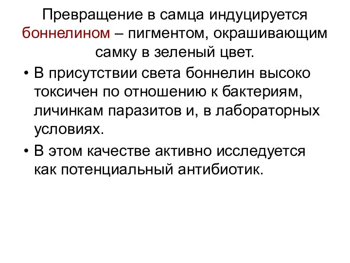 Превращение в самца индуцируется боннелином – пигментом, окрашивающим самку в