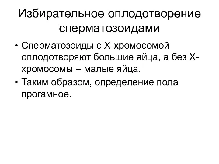 Избирательное оплодотворение сперматозоидами Сперматозоиды с Х-хромосомой оплодотворяют большие яйца, а