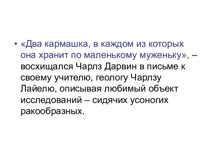 «Два кармашка, в каждом из которых она хранит по маленькому