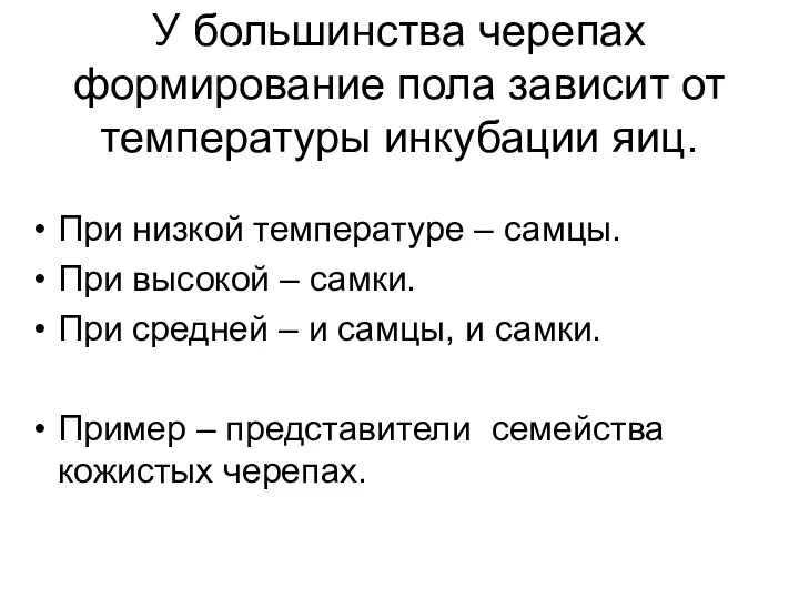 У большинства черепах формирование пола зависит от температуры инкубации яиц.