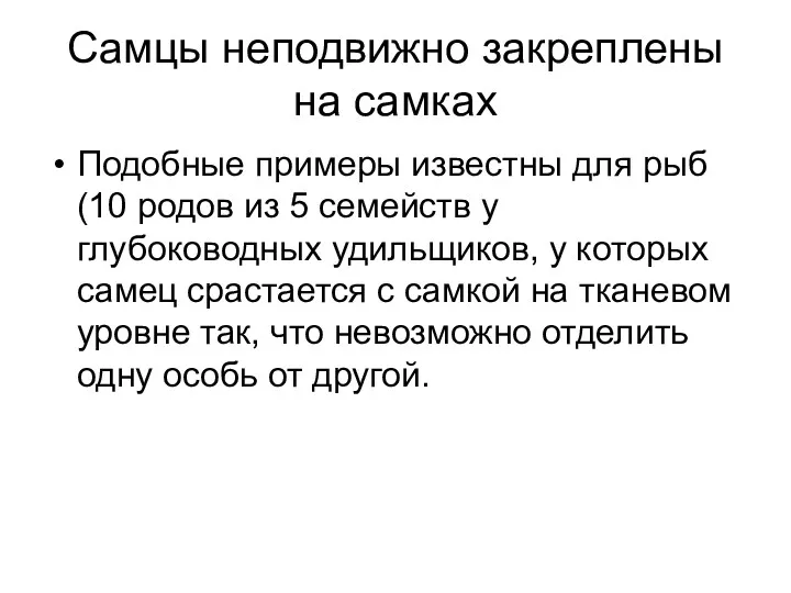 Самцы неподвижно закреплены на самках Подобные примеры известны для рыб