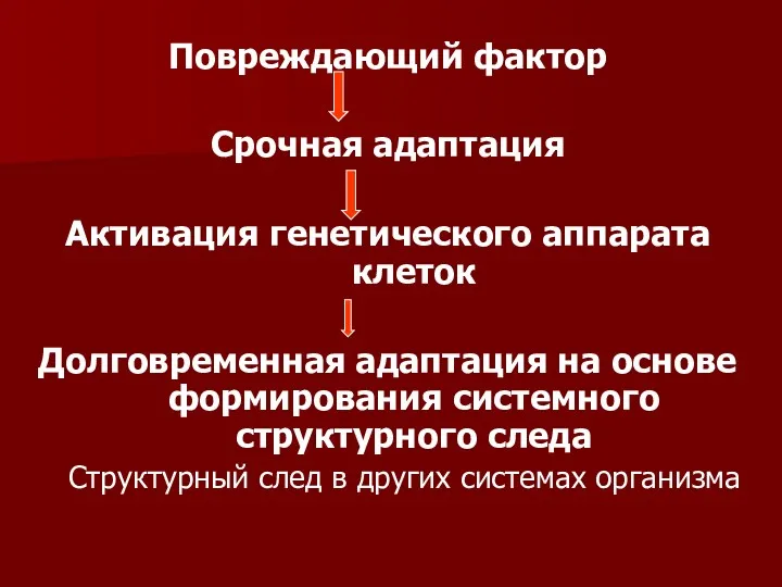 Повреждающий фактор Срочная адаптация Активация генетического аппарата клеток Долговременная адаптация