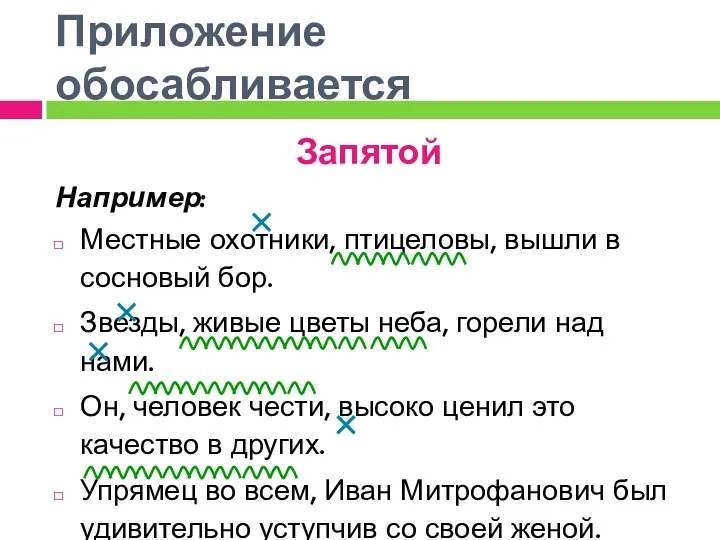 Приложение обосабливается Запятой Например: Местные охотники, птицеловы, вышли в сосновый