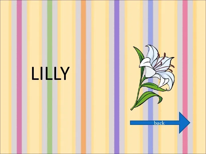 LILLY back