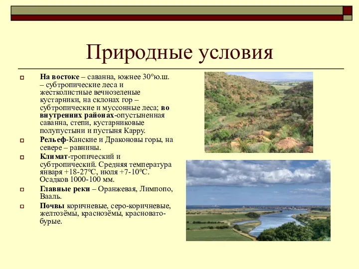 Природные условия На востоке – саванна, южнее 30°ю.ш. – субтропические