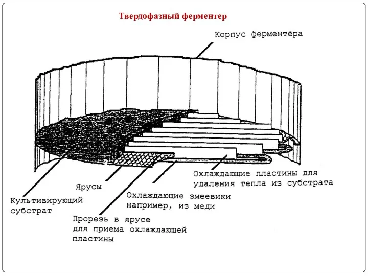 Твердофазный ферментер