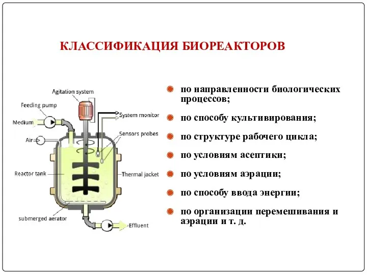 КЛАССИФИКАЦИЯ БИОРЕАКТОРОВ по направленности биологических процессов; по способу культивирования; по