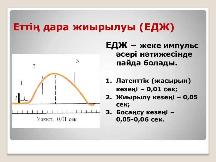 Еттің дара жиырылуы (ЕДЖ) ЕДЖ – жеке импульс әсері нәтижесінде