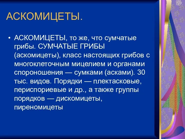 АСКОМИЦЕТЫ. АСКОМИЦЕТЫ, то же, что сумчатые грибы. СУМЧАТЫЕ ГРИБЫ (аскомицеты),