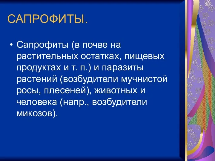 САПРОФИТЫ. Сапрофиты (в почве на растительных остатках, пищевых продуктах и