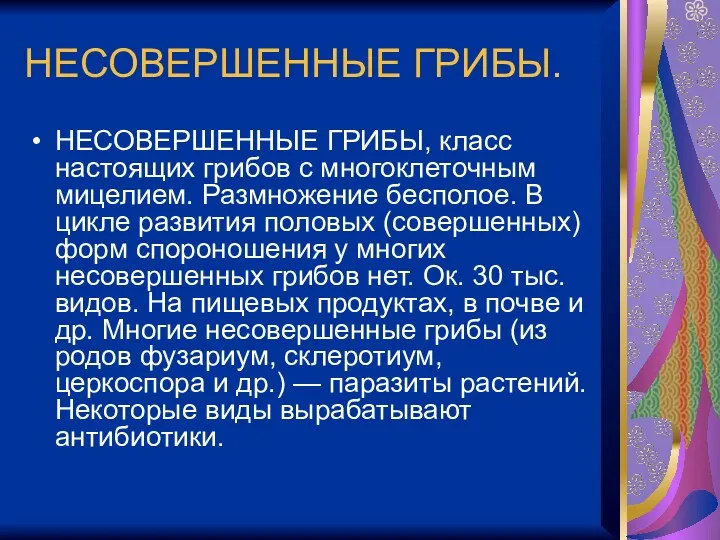 НЕСОВЕРШЕННЫЕ ГРИБЫ. НЕСОВЕРШЕННЫЕ ГРИБЫ, класс настоящих грибов с многоклеточным мицелием.