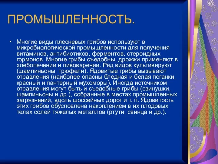 ПРОМЫШЛЕННОСТЬ. Многие виды плесневых грибов используют в микробиологической промышленности для