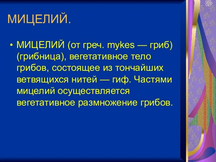 МИЦЕЛИЙ. МИЦЕЛИЙ (от греч. mykes — гриб) (грибница), вегетативное тело