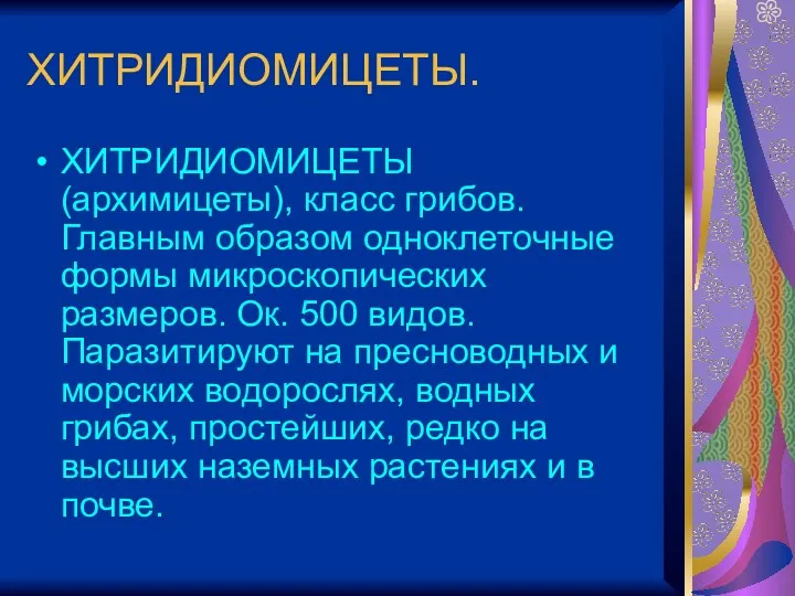 ХИТРИДИОМИЦЕТЫ. ХИТРИДИОМИЦЕТЫ (архимицеты), класс грибов. Главным образом одноклеточные формы микроскопических