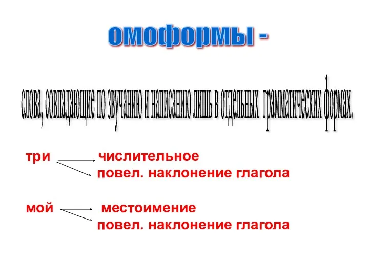 омоформы - слова, совпадающие по звучанию и написанию лишь в